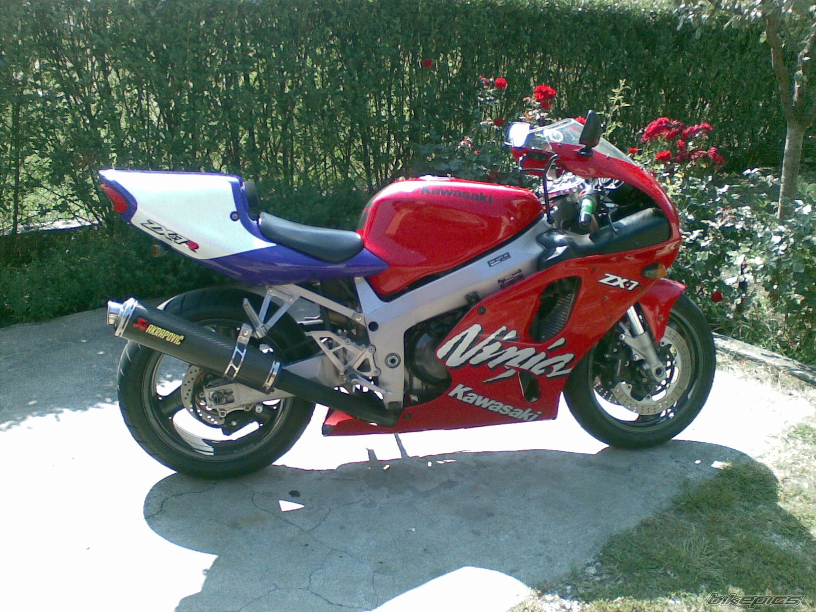 Photo 1444760