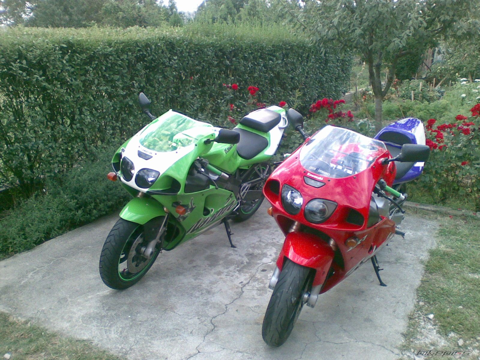 Photo 1444767