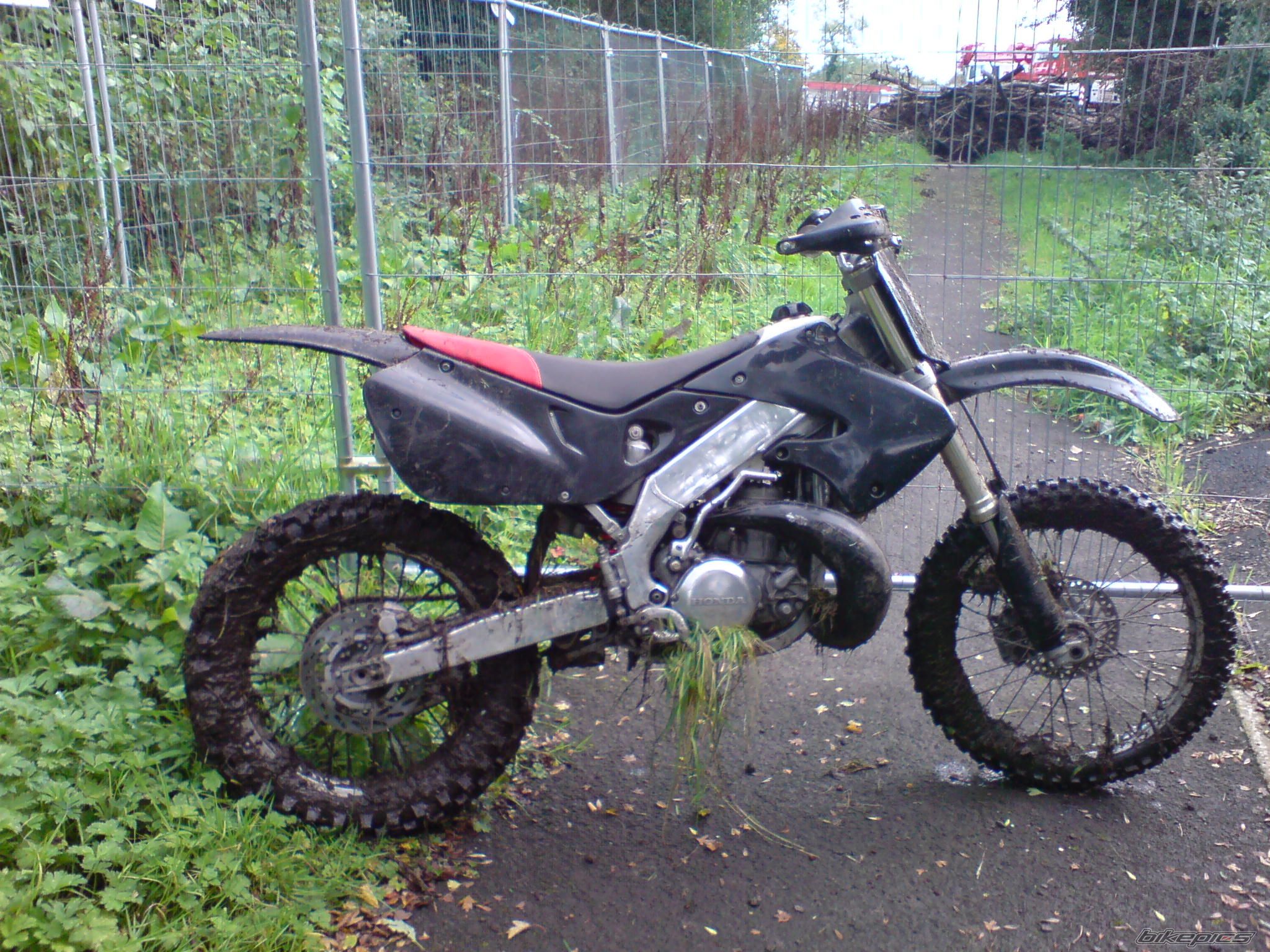 Photo 1444819