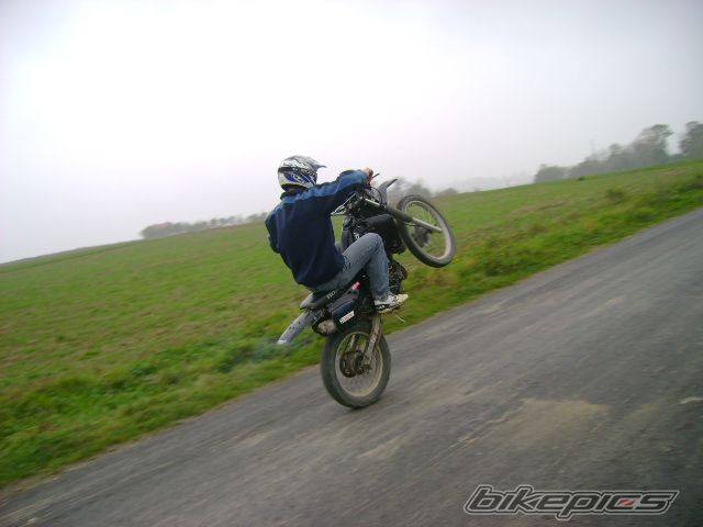 Photo 1444927