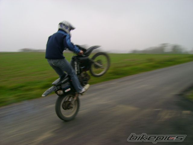 Photo 1444929