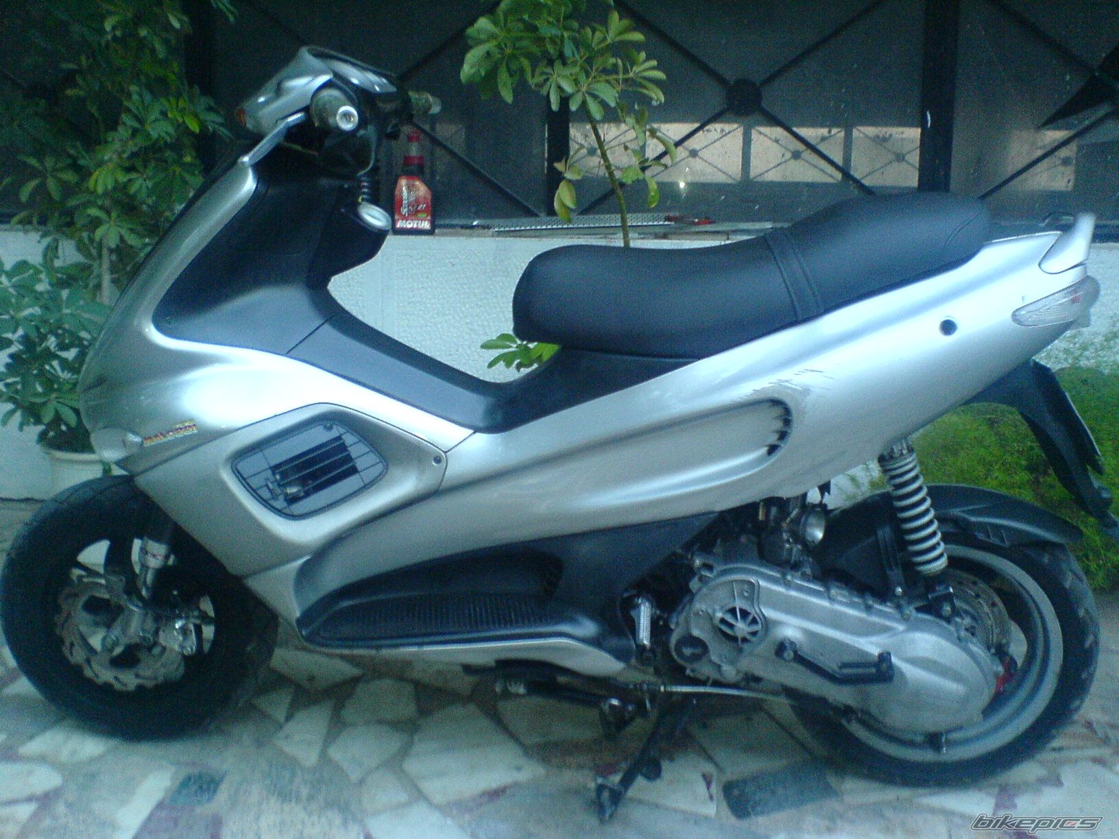Photo 1444972