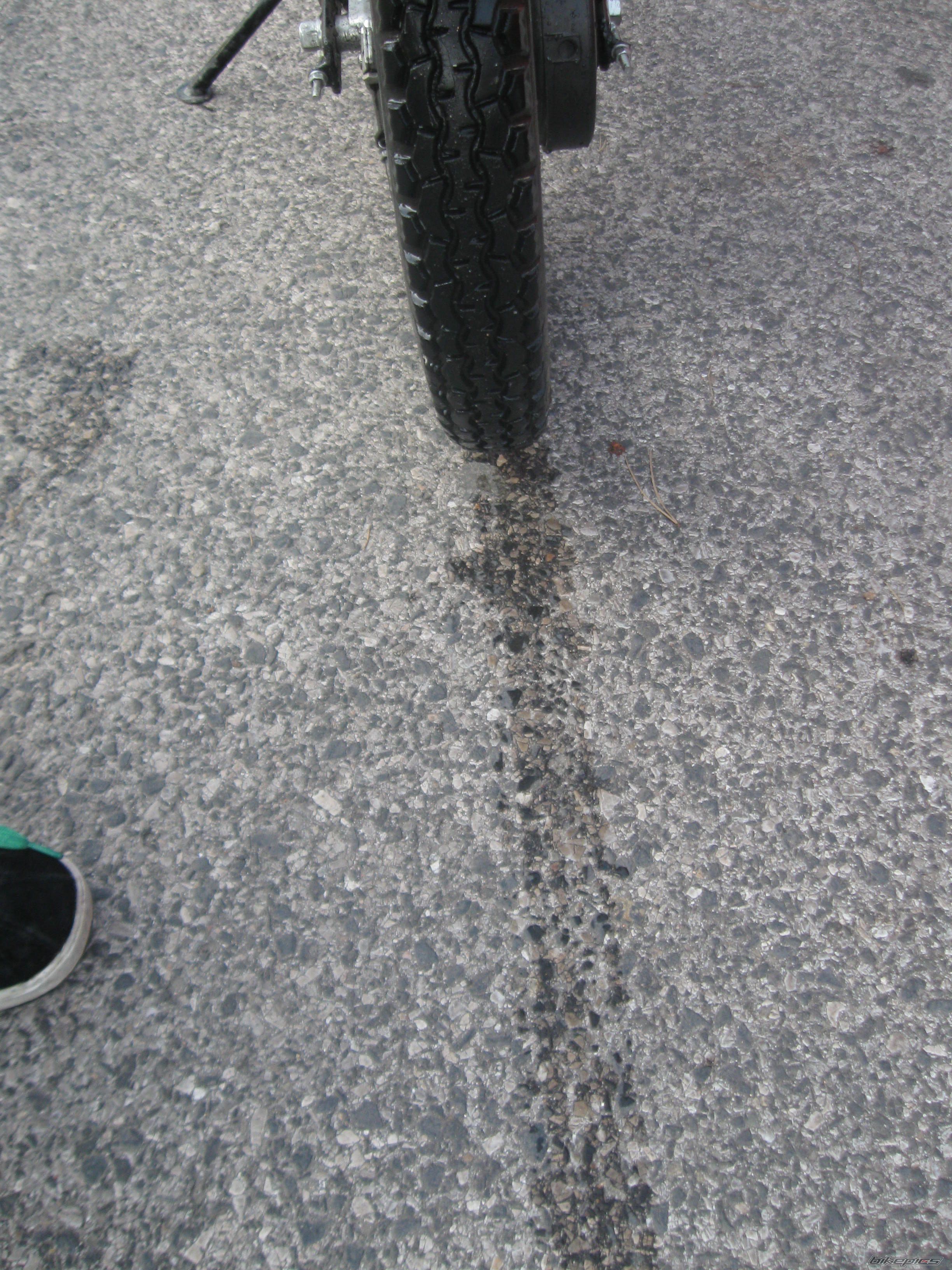 Photo 1445029