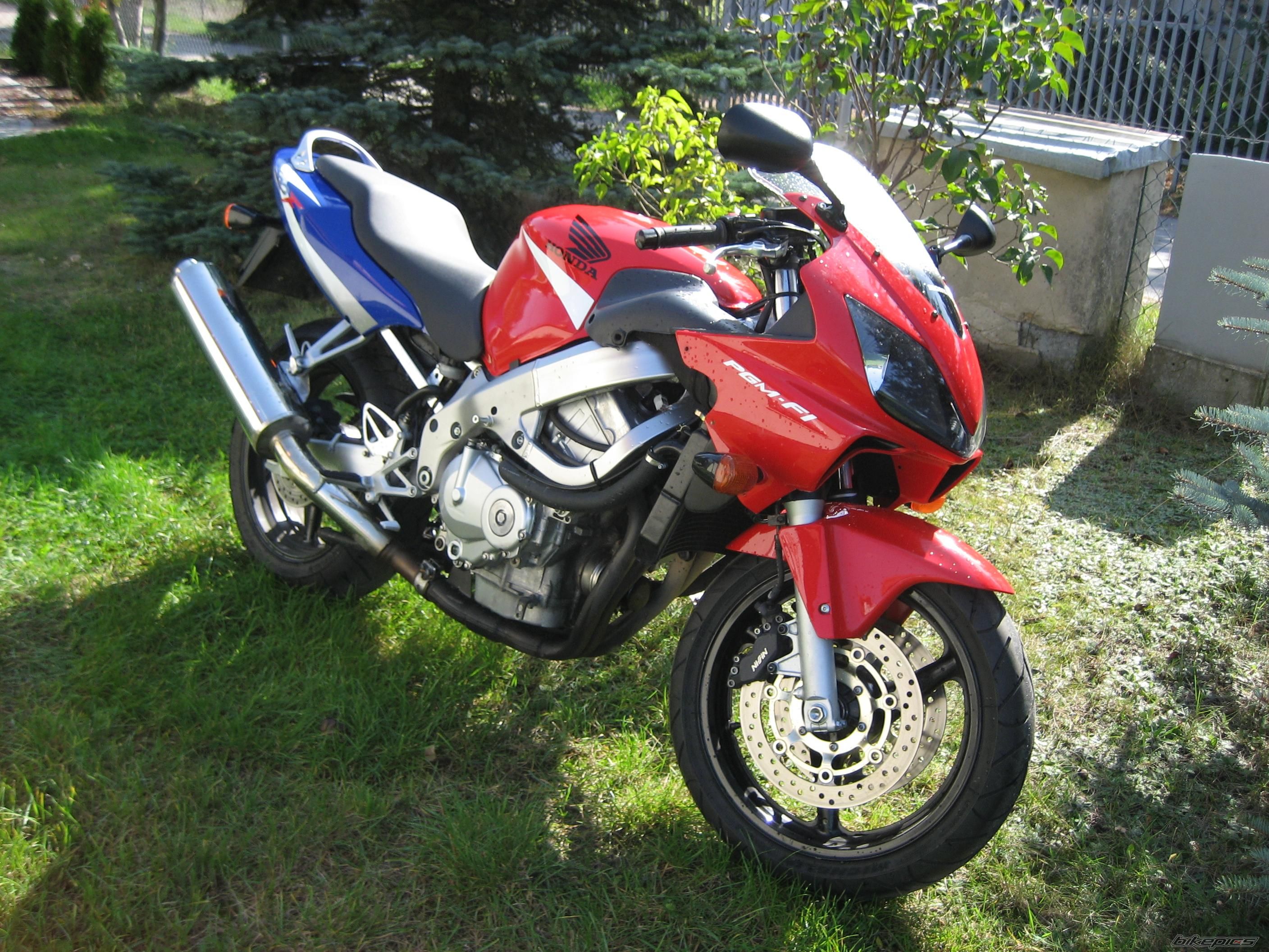 Photo 1445057
