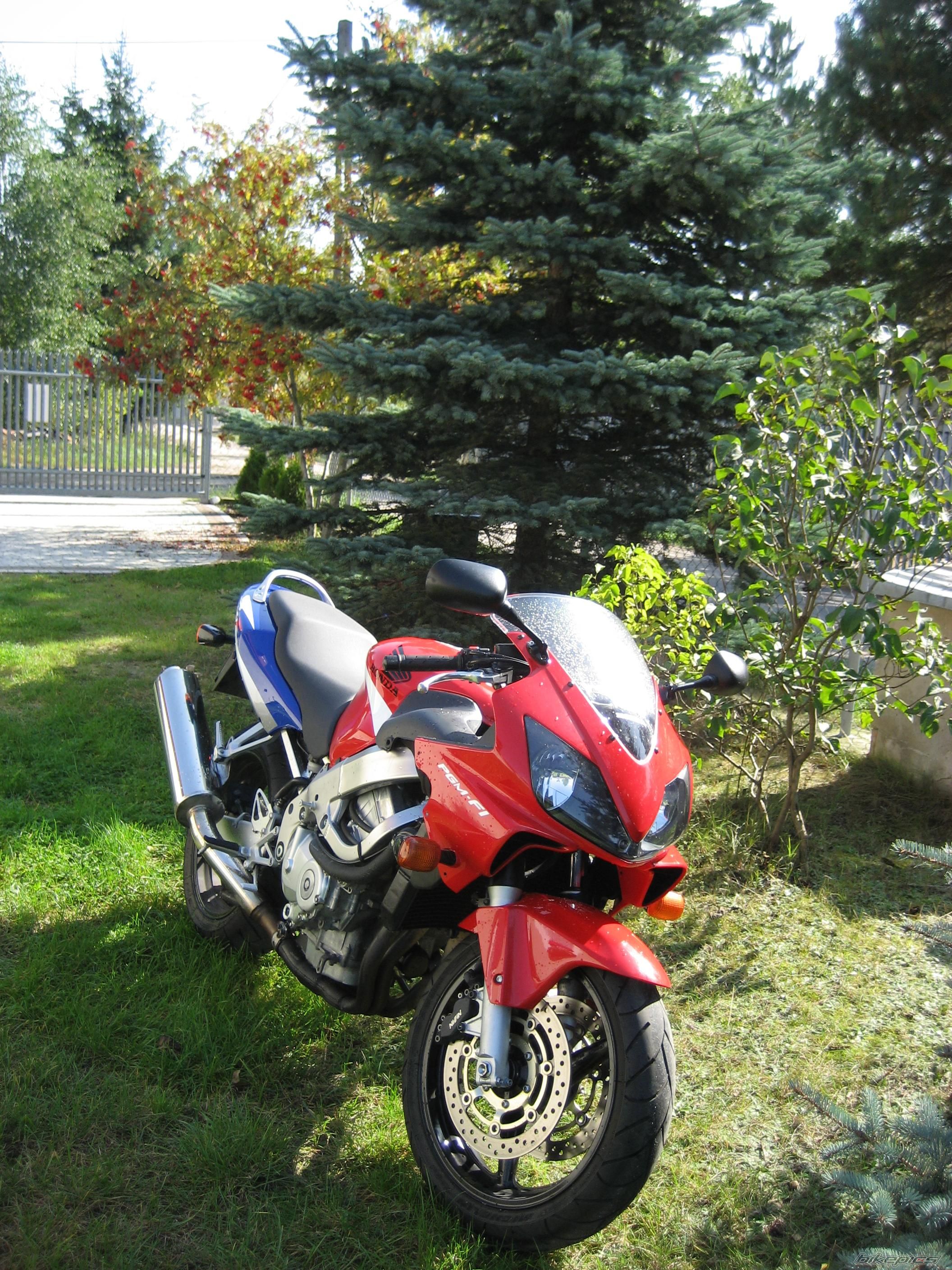 Photo 1445059