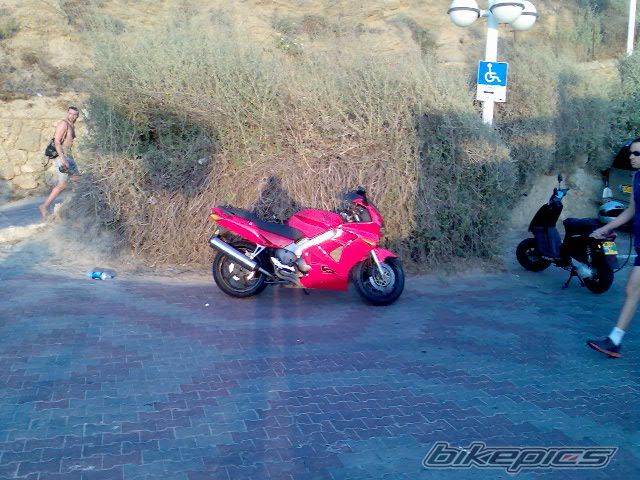 Photo 1445070