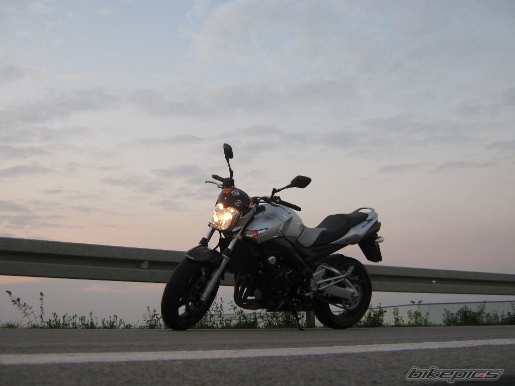 Photo 1445072