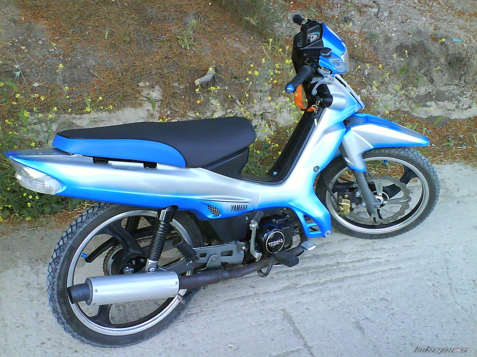 Photo 1445088