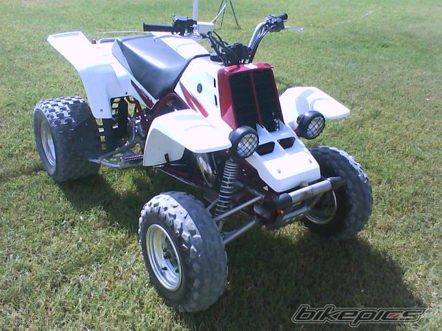 Photo 1445093