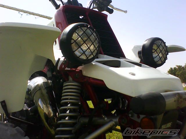 Photo 1445094