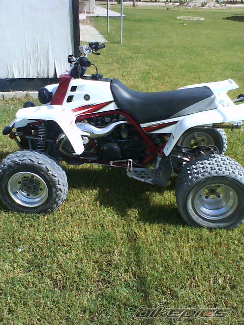 Photo 1445099