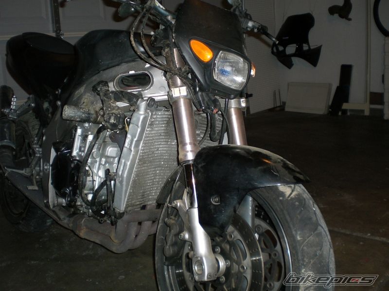 Photo 1445112
