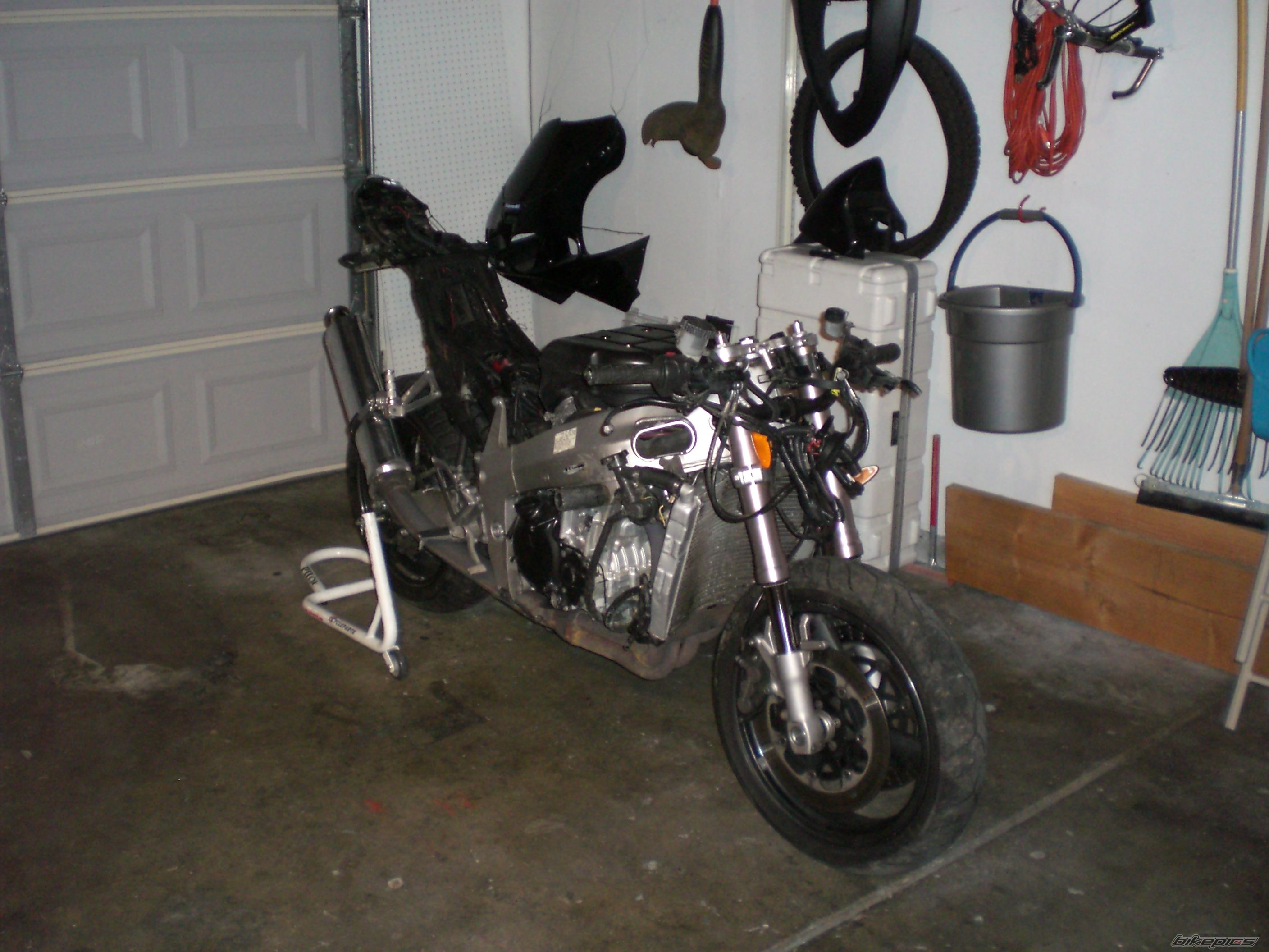 Photo 1445123