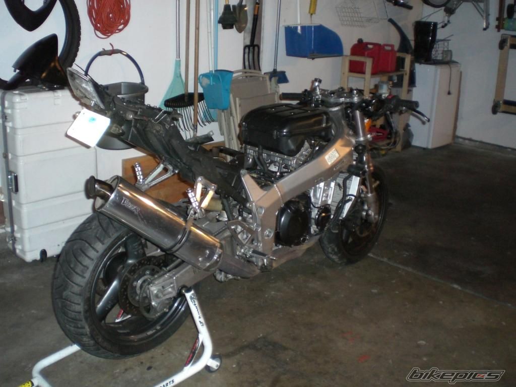 Photo 1445128