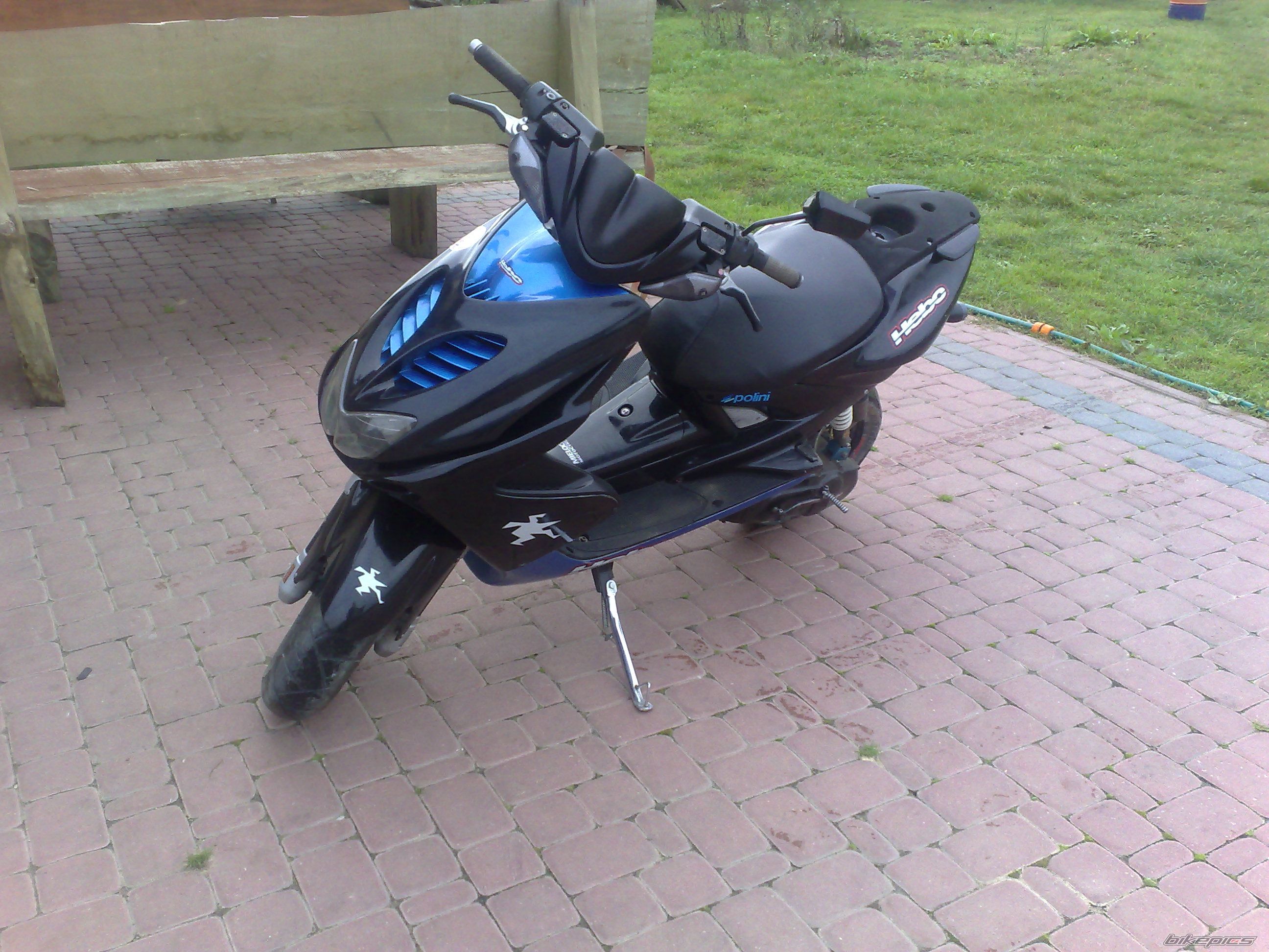 Photo 1445130