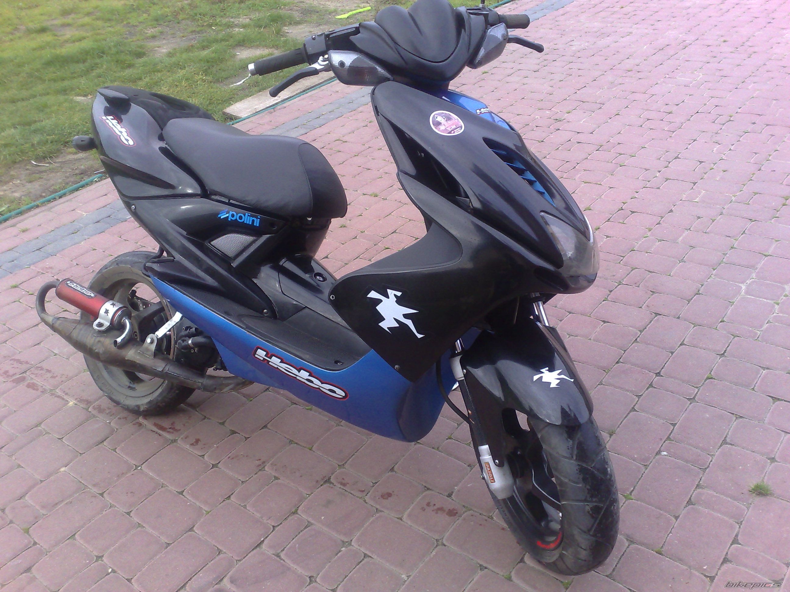 Photo 1445133