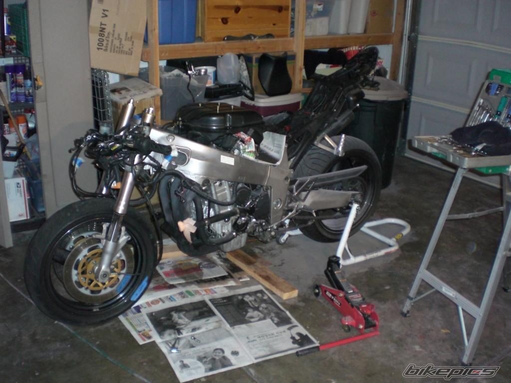Photo 1445134