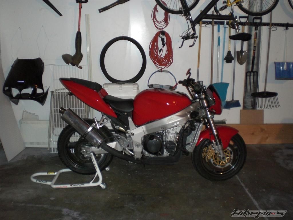 Photo 1445139