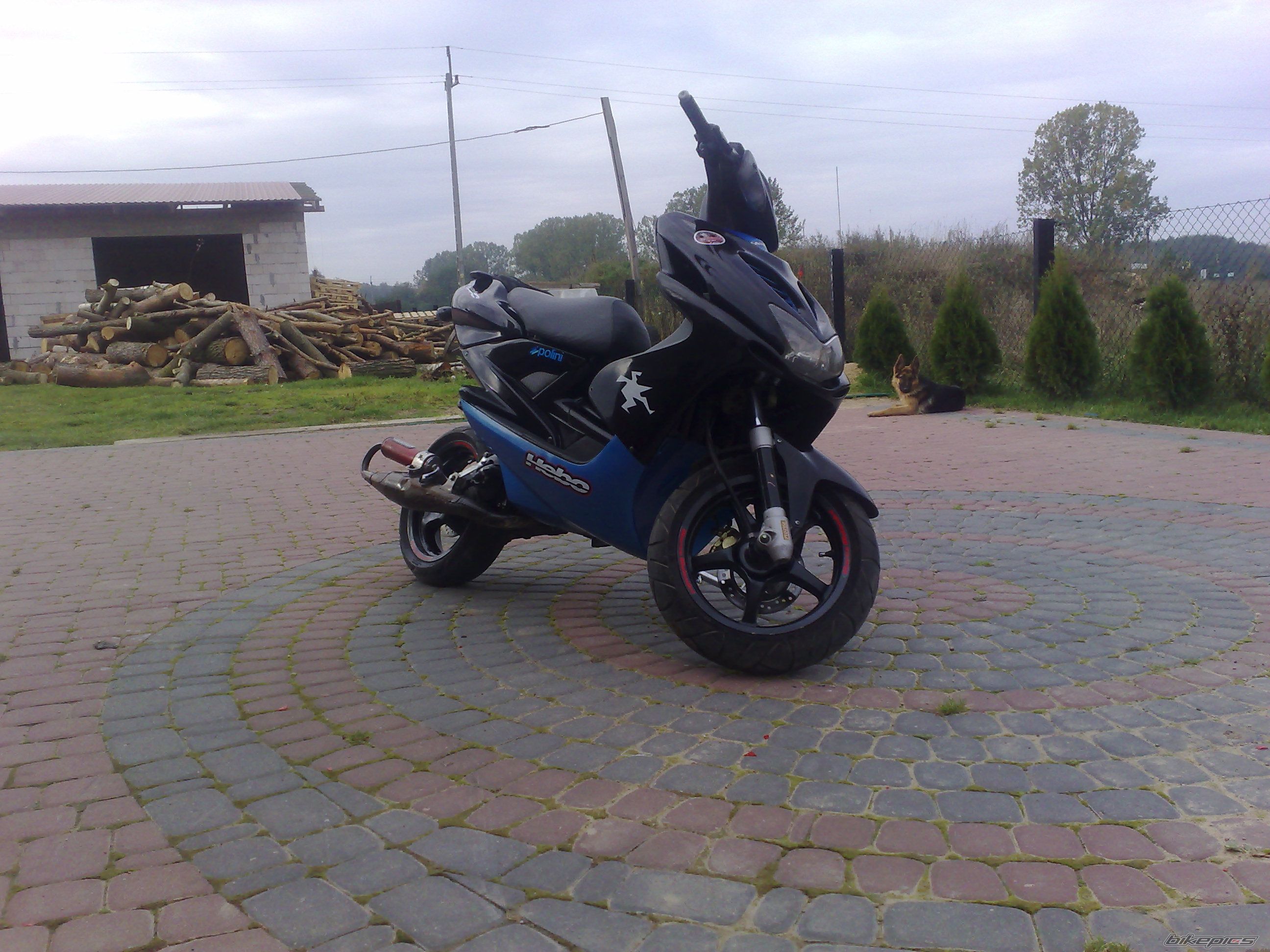 Photo 1445140