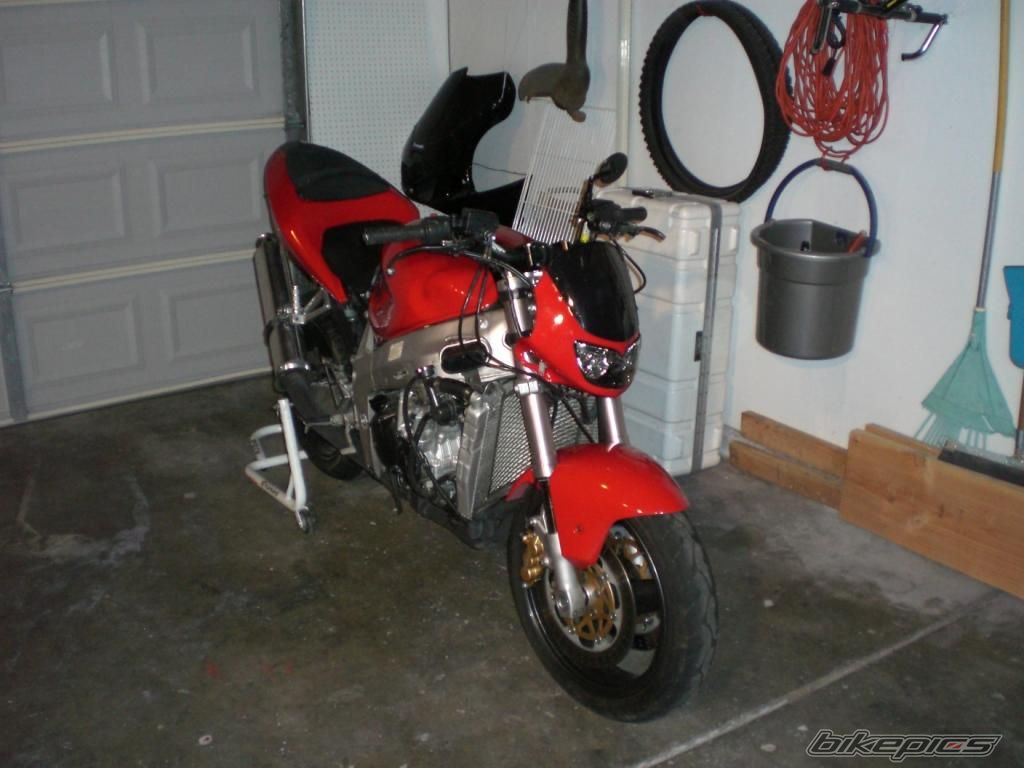 Photo 1445141