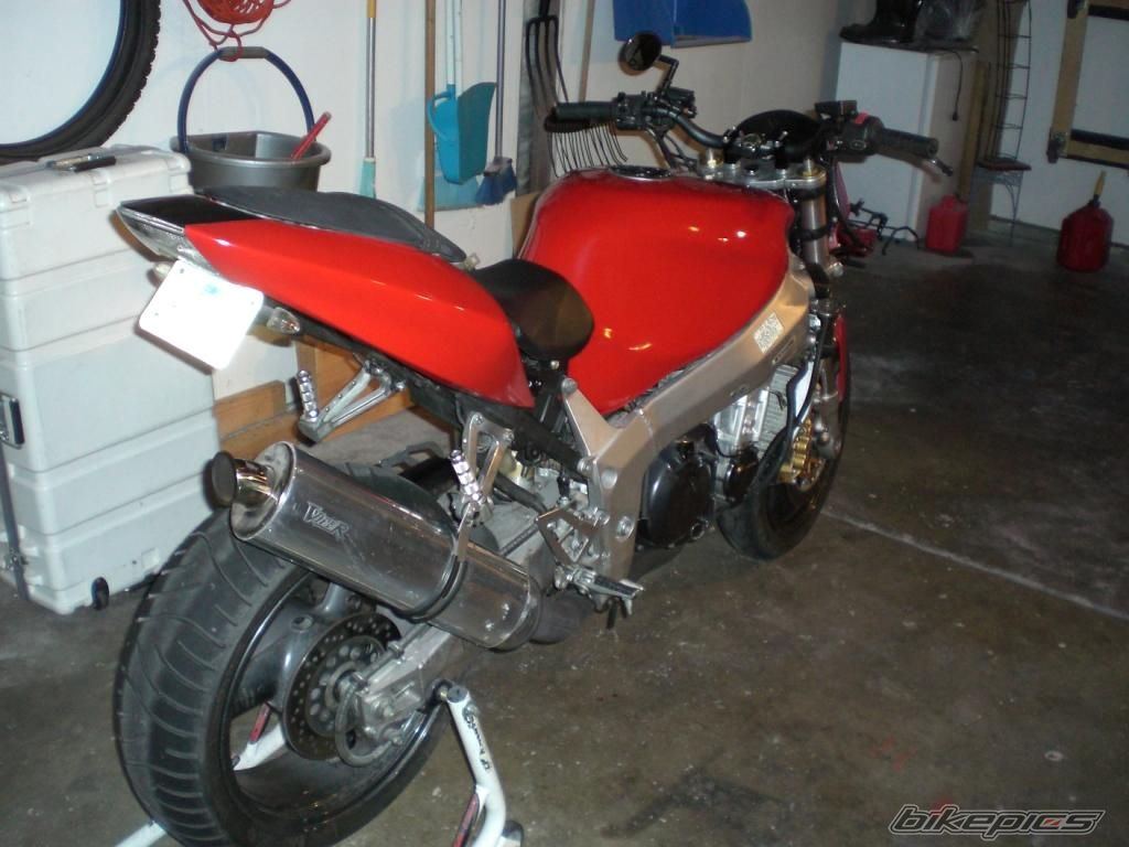 Photo 1445142