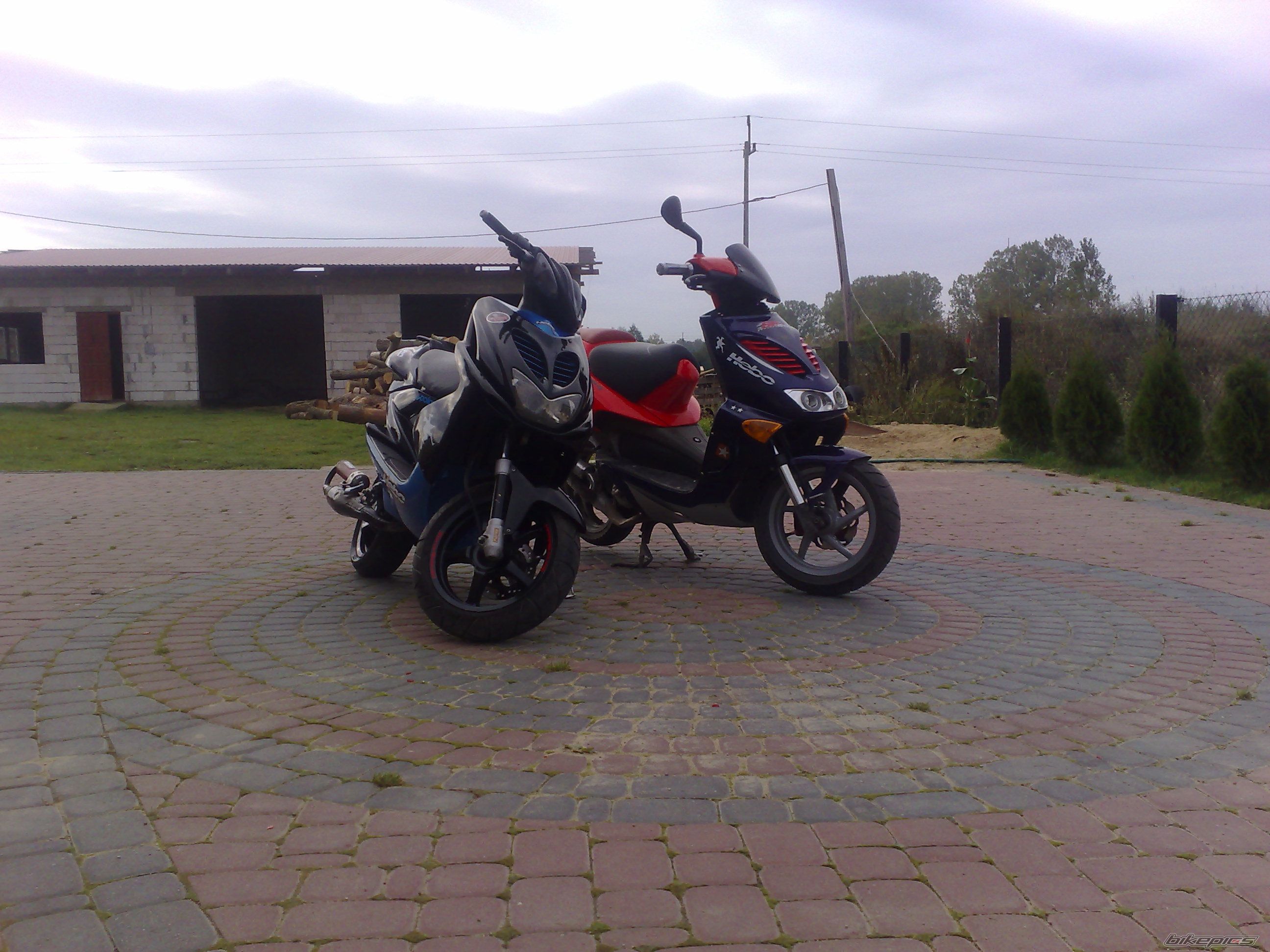 Photo 1445143