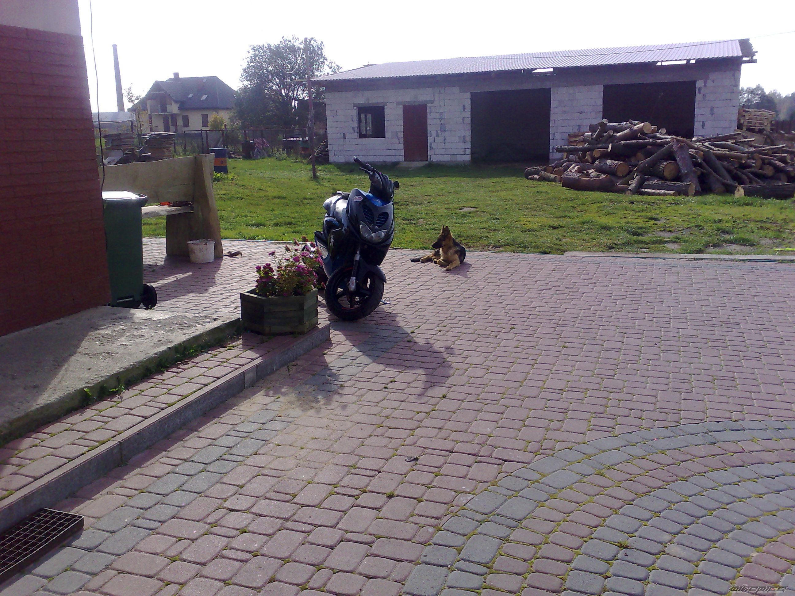 Photo 1445146