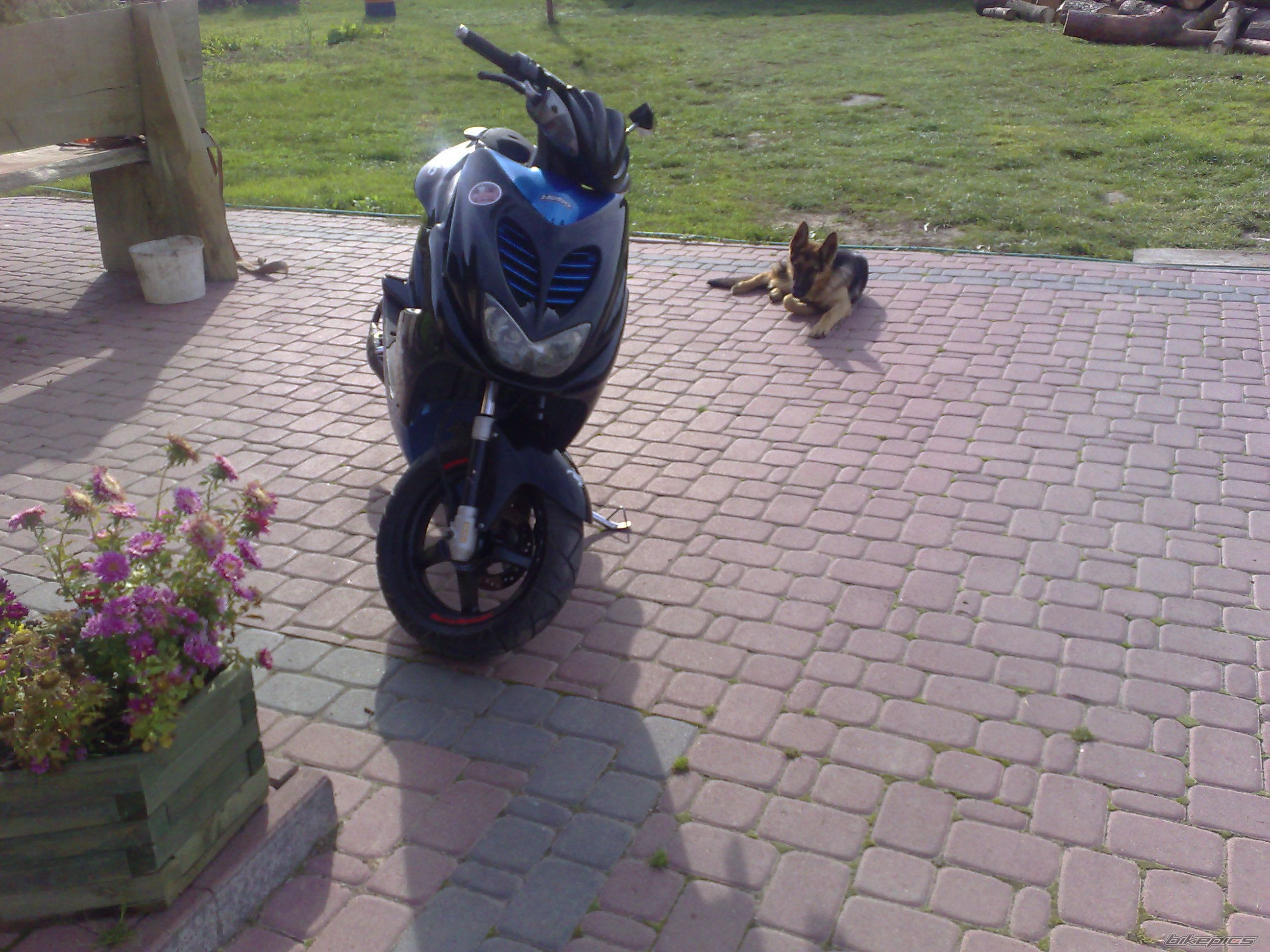 Photo 1445148