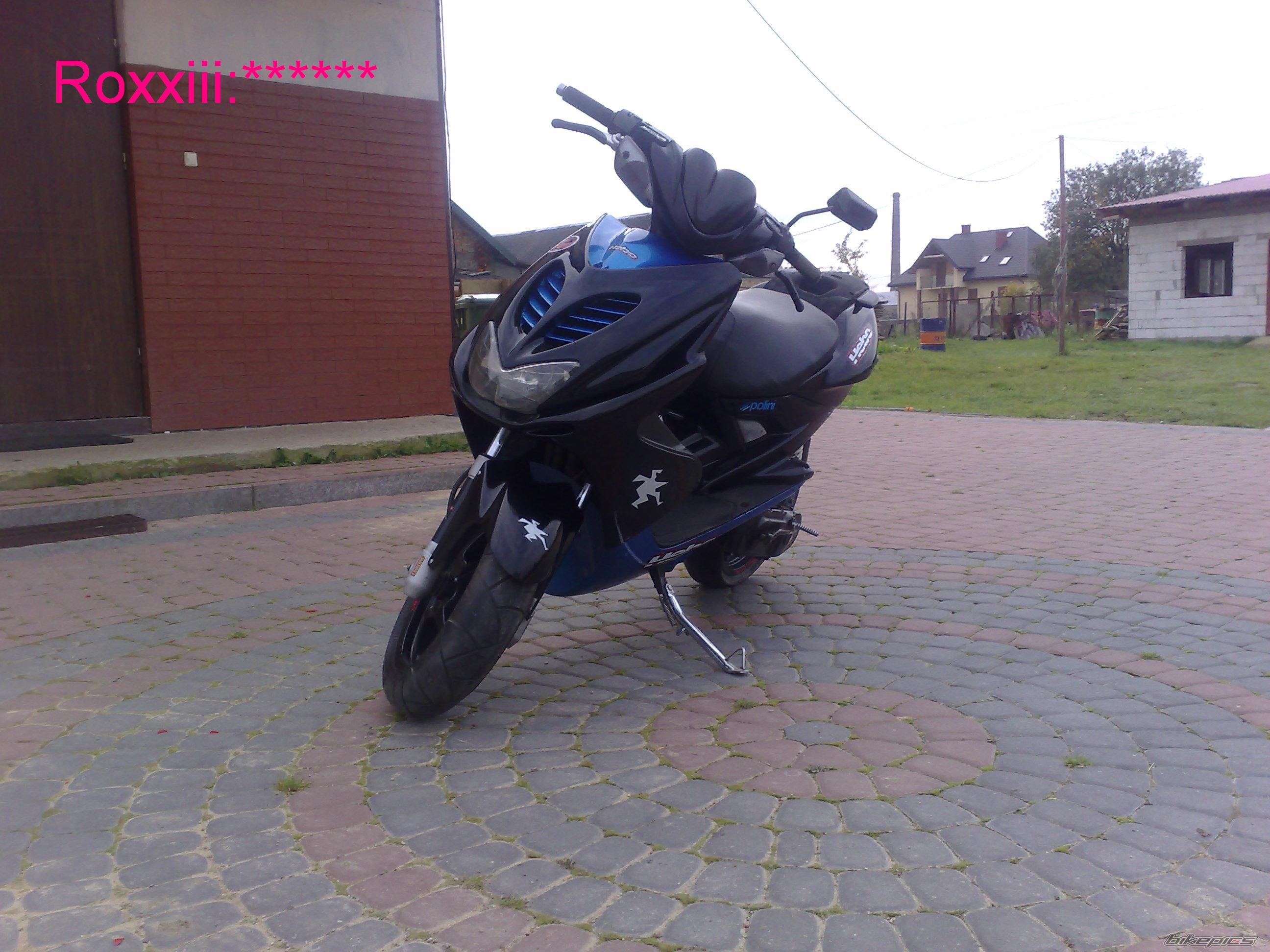Photo 1445154