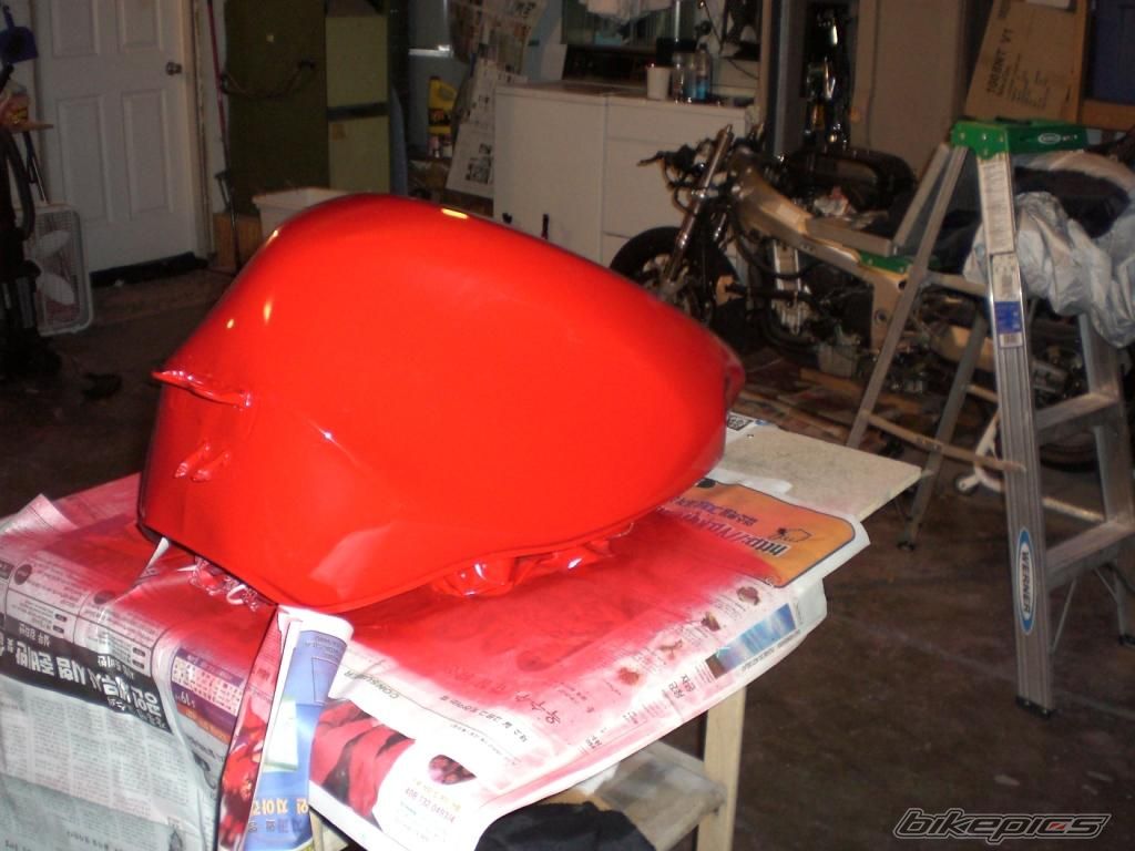 Photo 1445156