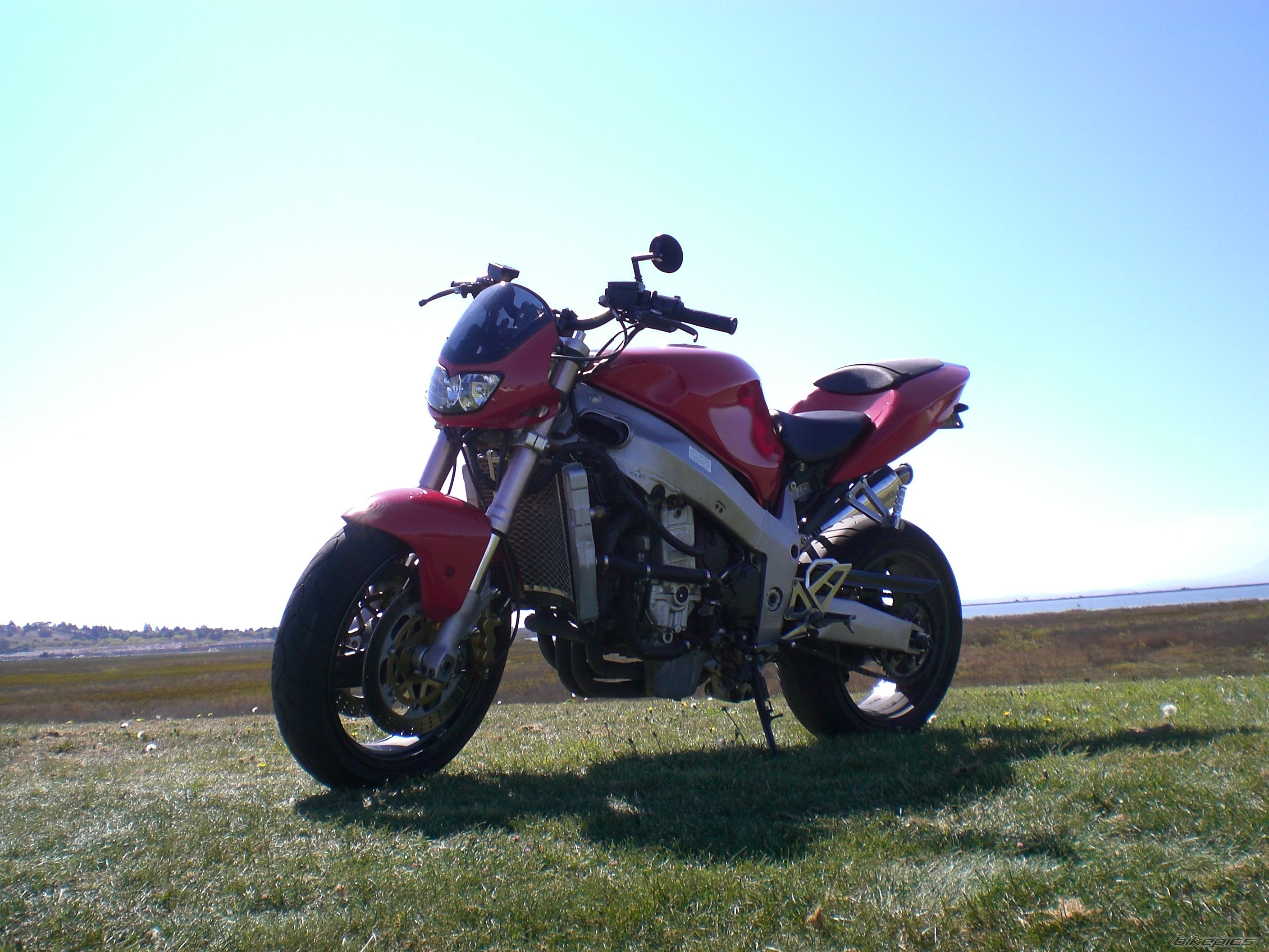 Photo 1445165