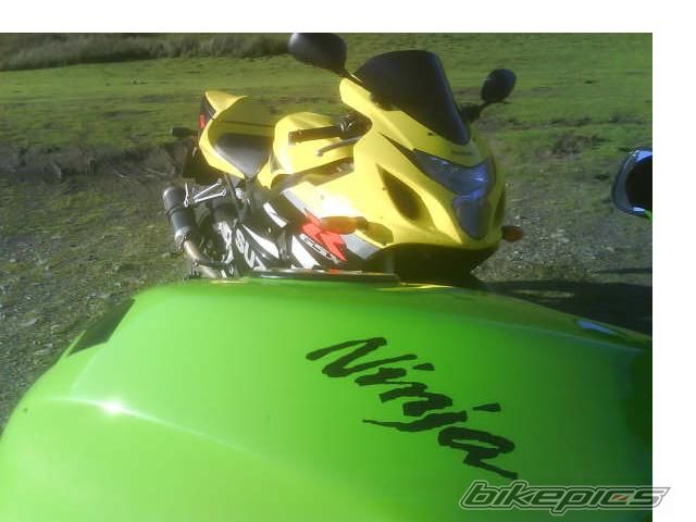 Photo 1445203