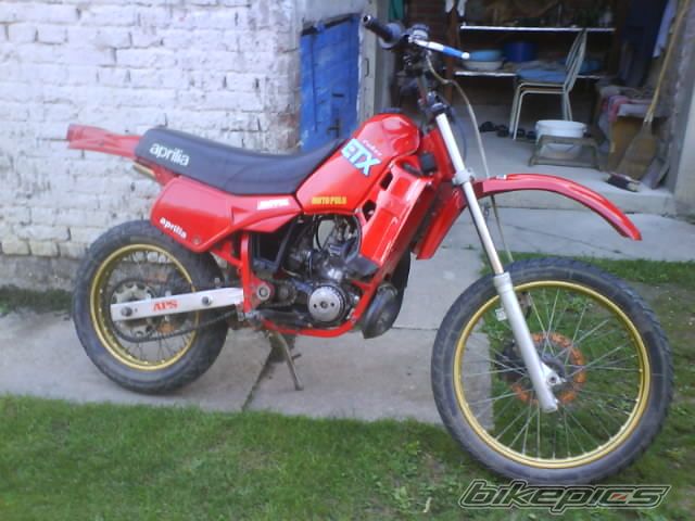 Photo 1445213
