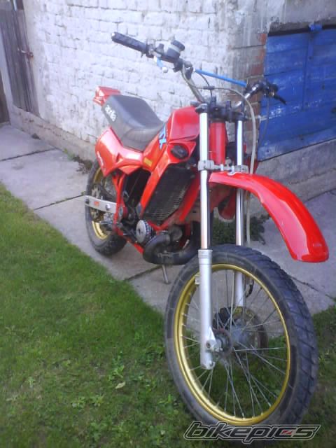 Photo 1445215