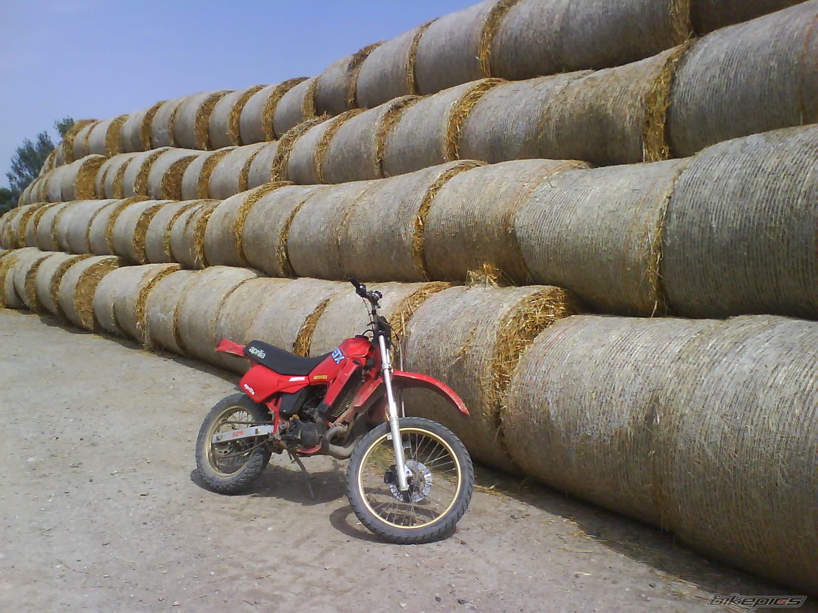Photo 1445227