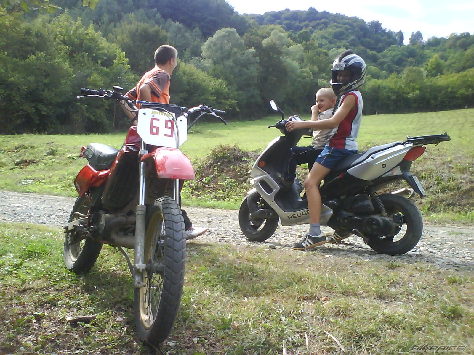 Photo 1445230