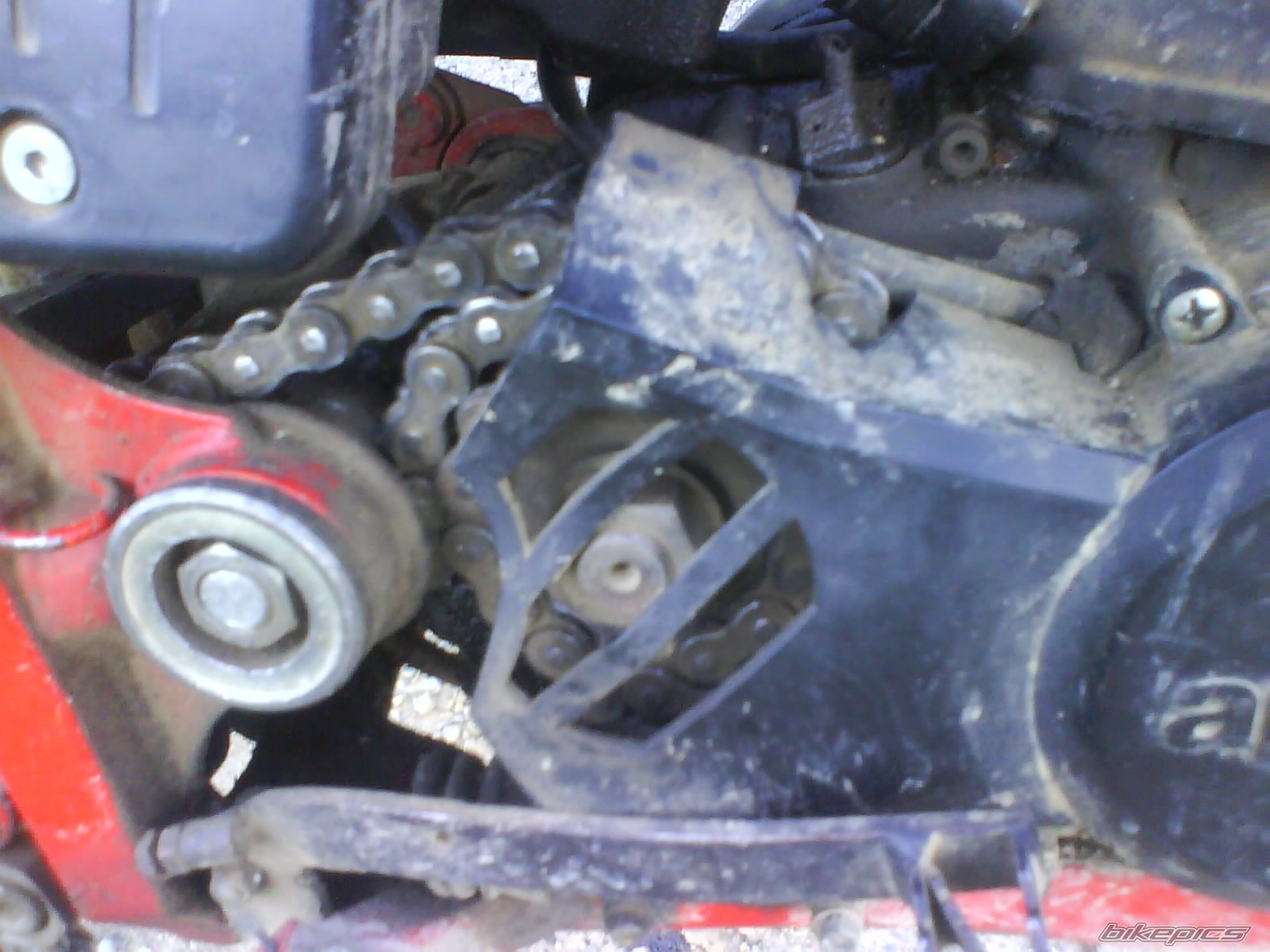 Photo 1445233