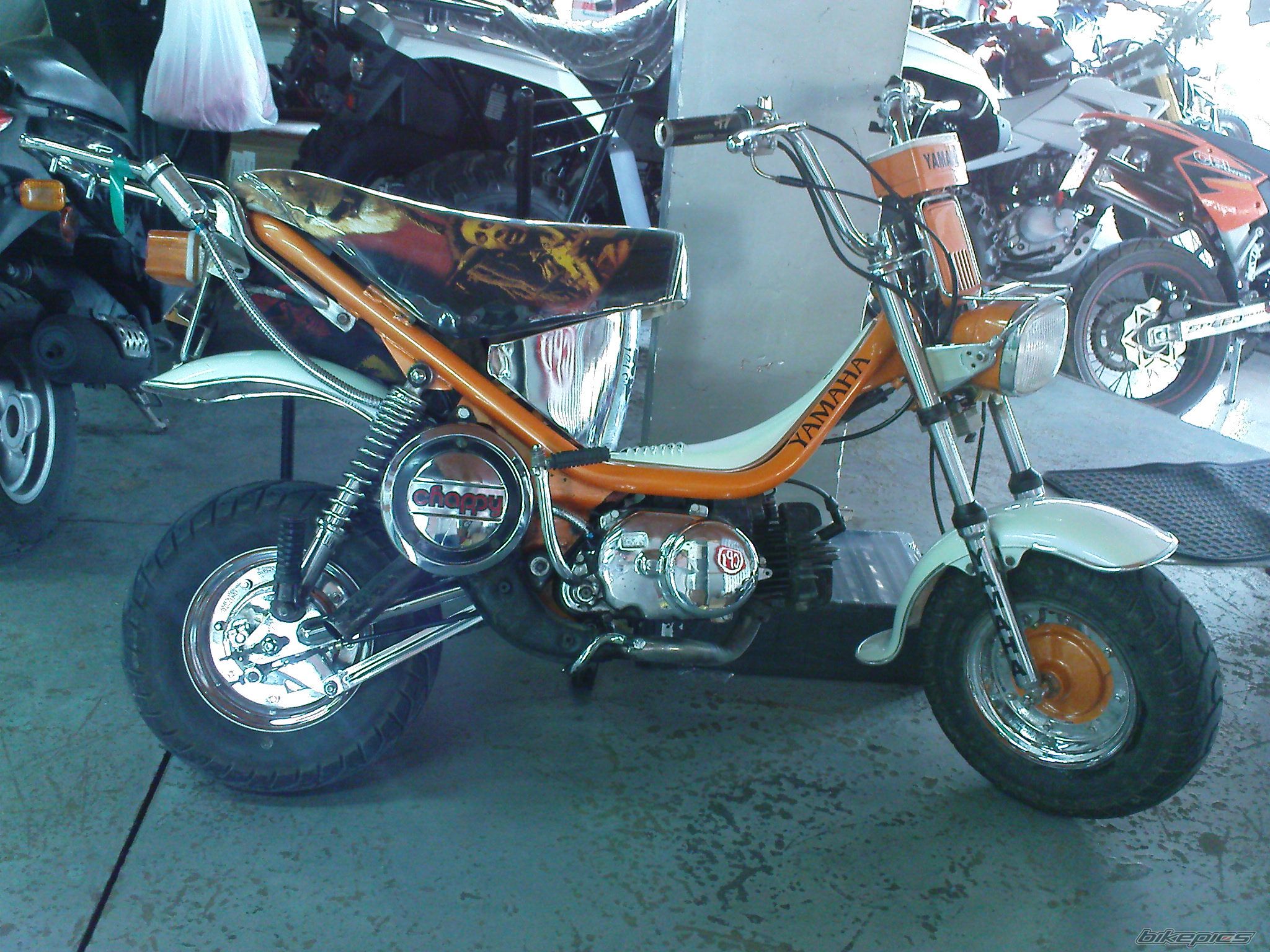 Photo 1445308