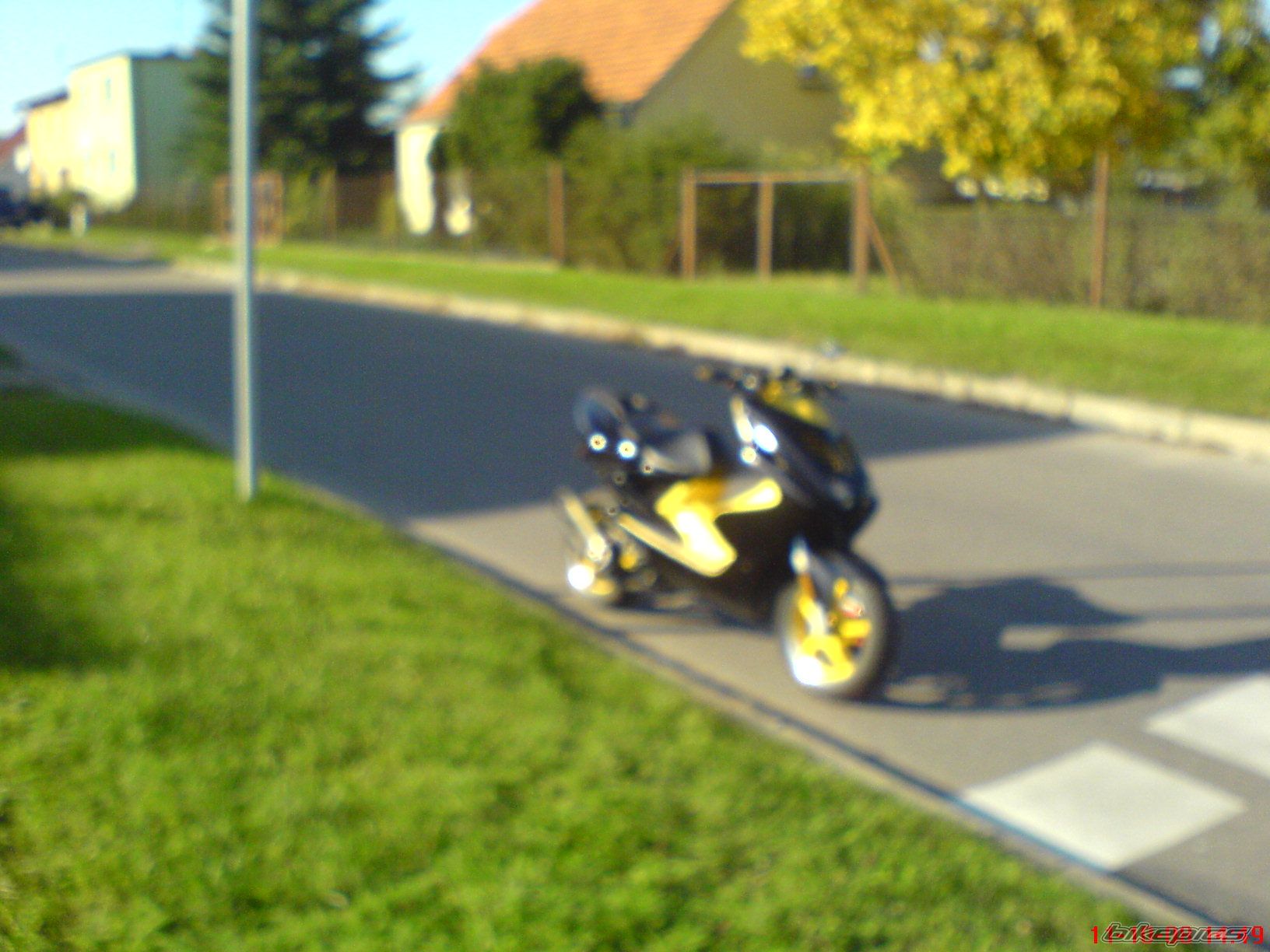 Photo 1445309