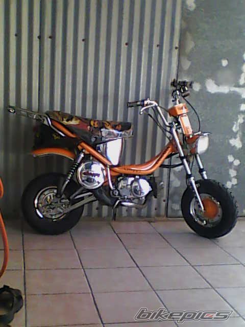 Photo 1445312