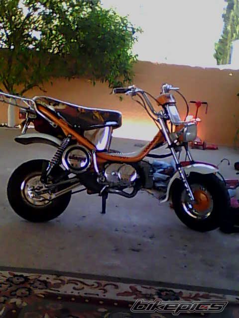 Photo 1445314