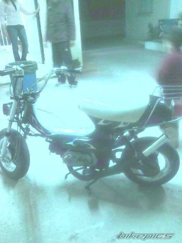 Photo 1445317