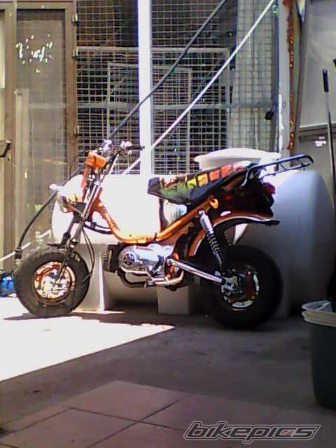 Photo 1445318