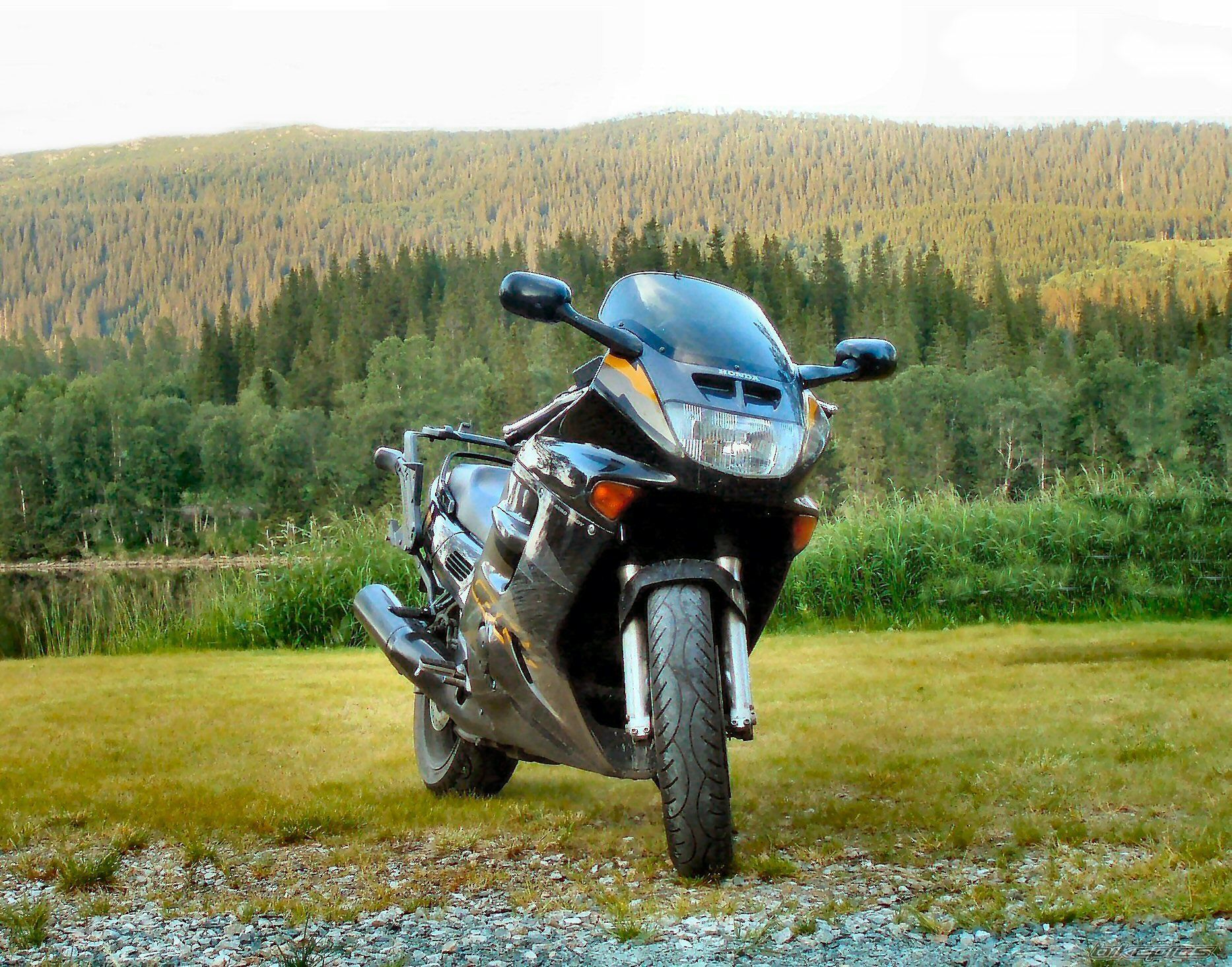 Photo 1445324