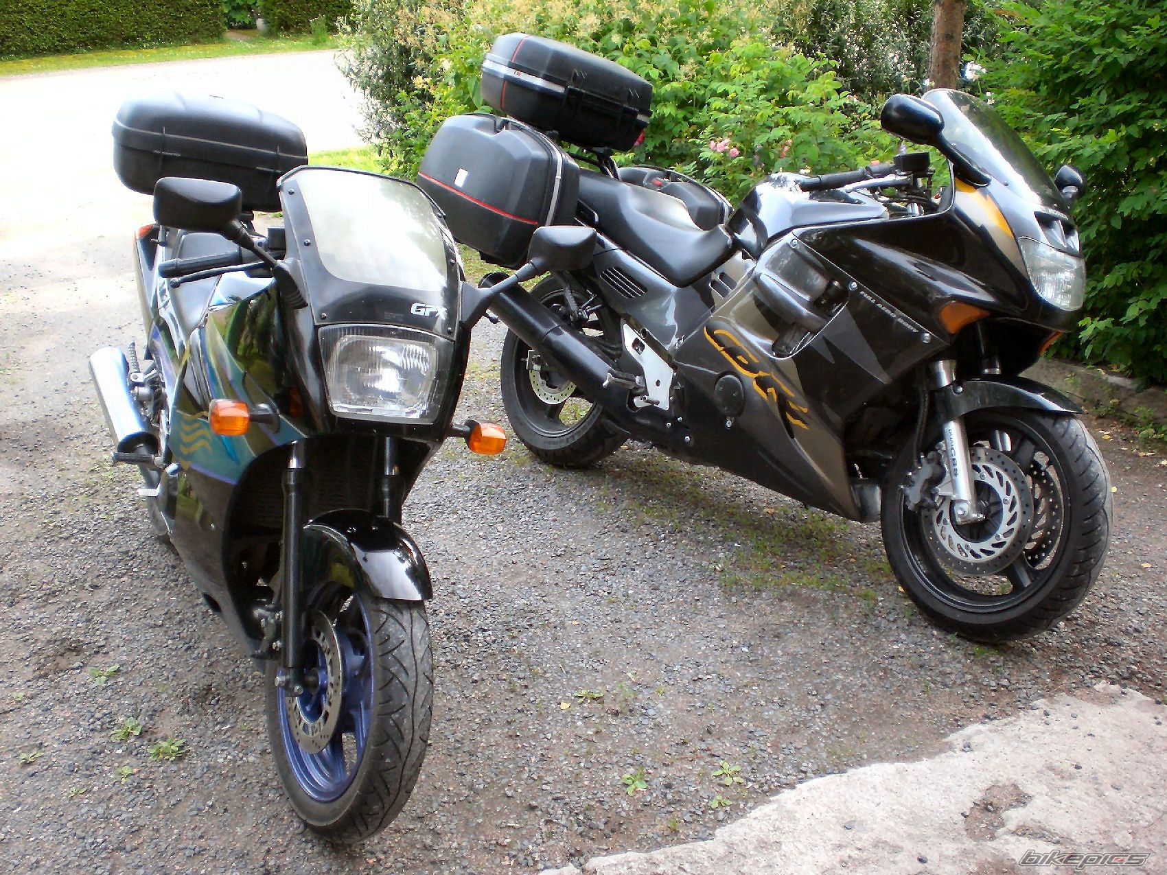 Photo 1445328