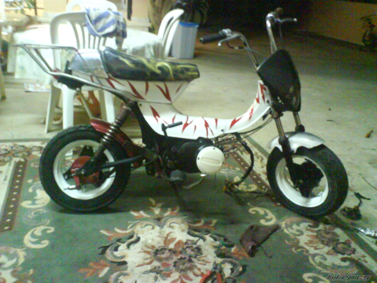 Photo 1445329