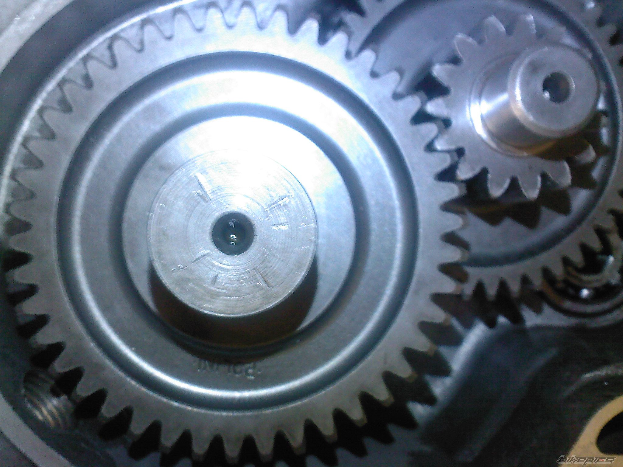 Photo 1445330