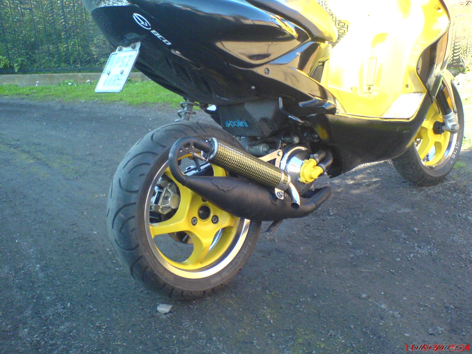 Photo 1445333