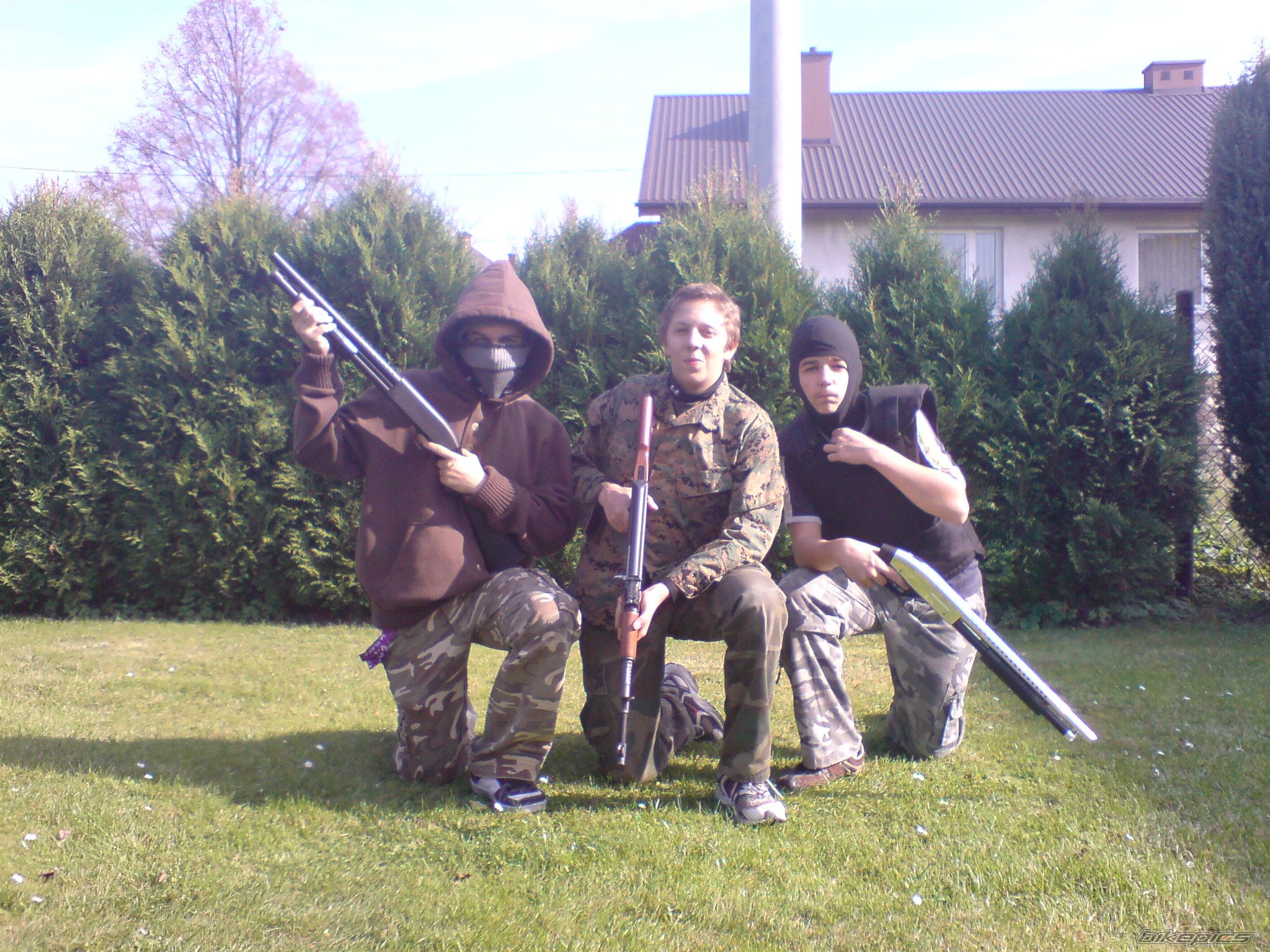 Photo 1445335