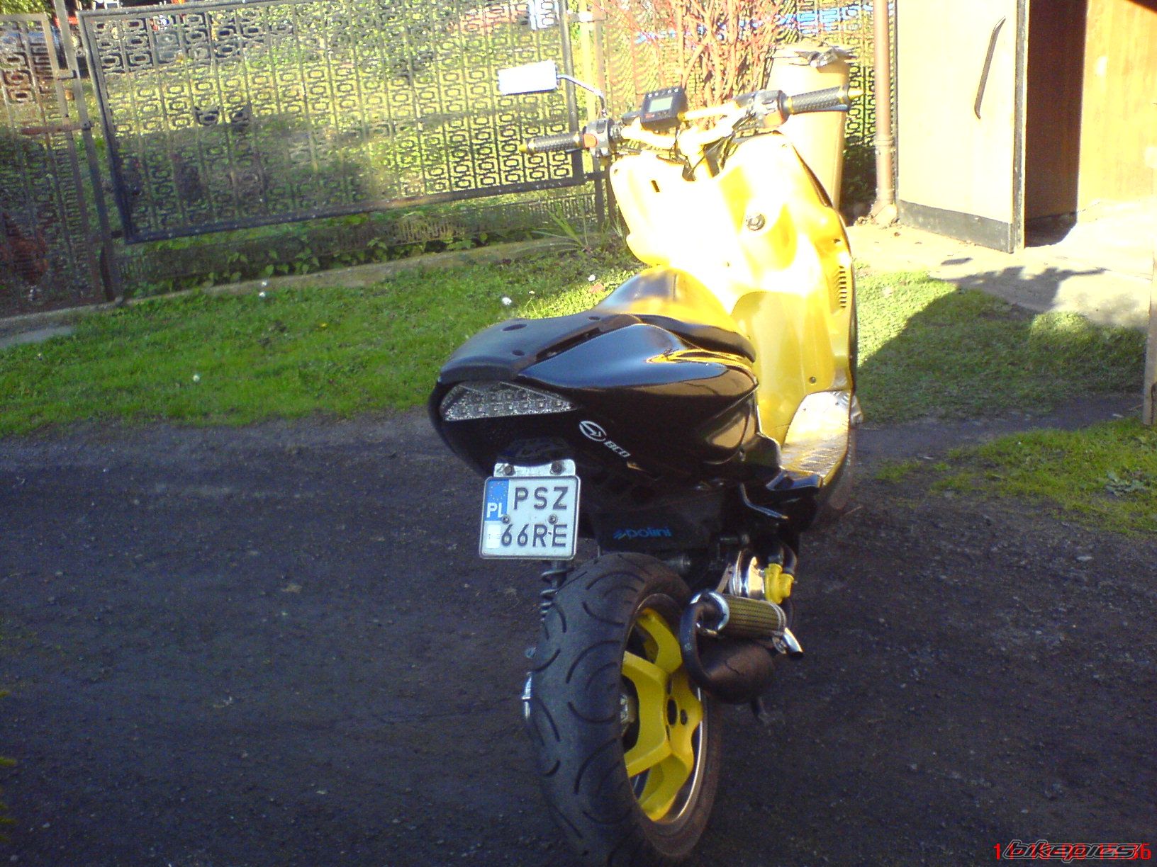 Photo 1445341